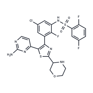 化合物 B-Raf IN 5|T64116|TargetMol