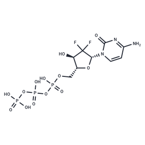 化合物 Gemcitabine triphosphate|T75252|TargetMol