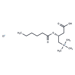 Hexanoyl-L-carnitine (chloride)|T38233|TargetMol