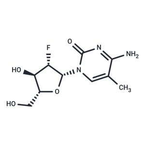 化合物 2’-Deoxy-2’-fluoro-5-methyl-arabinocytidine|TNU0184|TargetMol