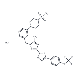 化合物 IACS-010759 hydrochloride|T27568|TargetMol