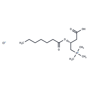 Heptanoyl-L-carnitine (chloride)|T38232|TargetMol