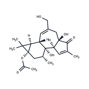 化合物 Prostratin|T21441|TargetMol