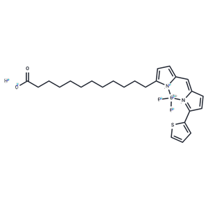 BODIPY 558/568 C12|T36959|TargetMol