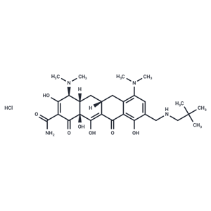 化合物 Omadacycline HCl|T71266|TargetMol