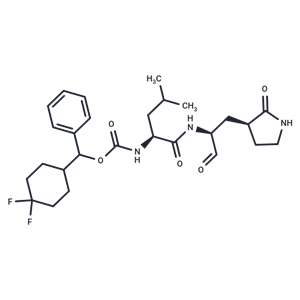 SARS-CoV-2-IN-10|T40340|TargetMol