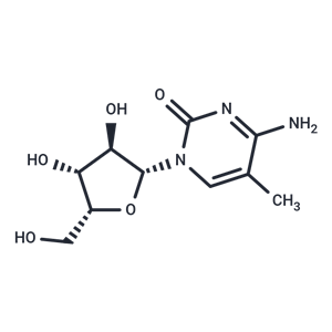 化合物 1-(b-D-Xylofuranosyl)-5-methylcytosine|TNU0521|TargetMol