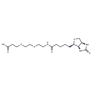 化合物 Biotin-PEG2-acid|T14582|TargetMol