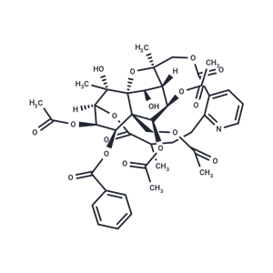 冬青卫矛碱D|TN1627|TargetMol