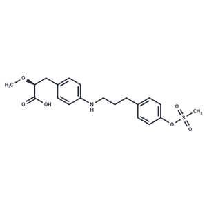 化合物 PPAR agonist 1,PPAR agonist 1