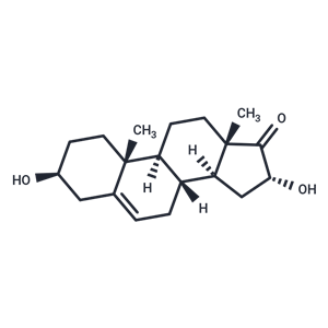 16α-hydroxy Dehydroepiandrosterone|T36920|TargetMol