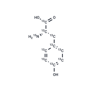 L-Tyrosine-13C9,15N|T36384|TargetMol