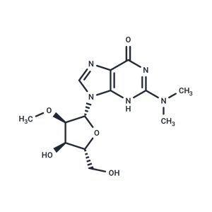 化合物 2’-O-Methyl-N2,N2-dimethyl-guanosine|TNU0127|TargetMol