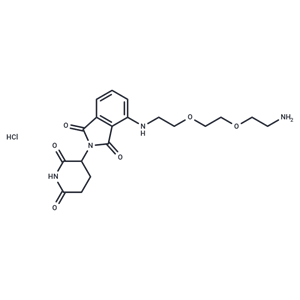 化合物 Thalidomide-PEG2-C2-NH2 hydrochloride,Thalidomide-PEG2-C2-NH2 hydrochloride