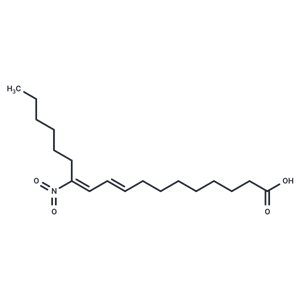 9(E),11(E)-12-nitro Conjugated Linoleic Acid|T37270|TargetMol