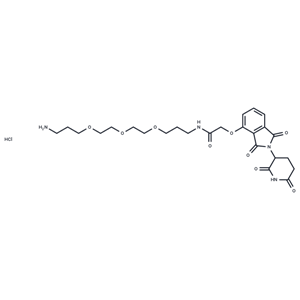 Thalidomide 4'-oxyacetamide-alkylC1-PEG3-alkylC3-amine|T36250|TargetMol