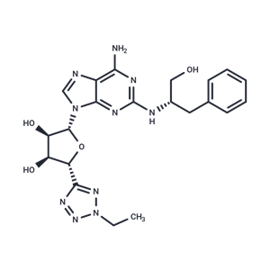 化合物 GW-328267|T24120|TargetMol