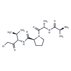 化合物 Ala-Ala-Pro-Val-chloromethylketone,Ala-Ala-Pro-Val-chloromethylketone