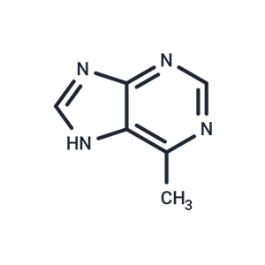 化合物 6-Methylpurine,6-Methylpurine