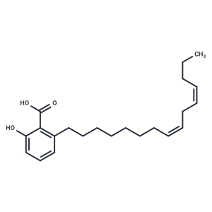 Anacardic Acid Diene|T35487|TargetMol