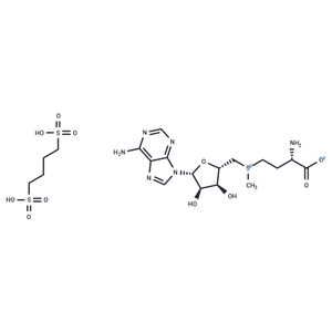 化合物 S-Adenosyl-L-methionine (1,4-butanedisulfonate)|T79919|TargetMol