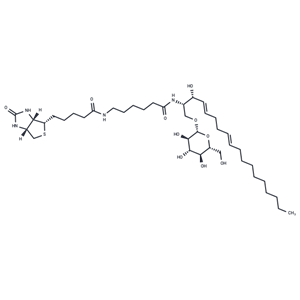 化合物 C6 Biotin Glucosylceramide (d18:1/6:0),C6 Biotin Glucosylceramide (d18:1/6:0)