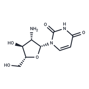 化合物 2’-Amino-2’-deoxy-b-D-arabinouridine|TNU0268|TargetMol