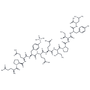 EPQpYEEIPIYL|T38965|TargetMol