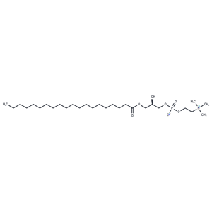 化合物 1-Arachidoyl-sn-glycero-3-phosphocholine,1-Arachidoyl-sn-glycero-3-phosphocholine