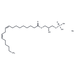 化合物 1-Linoleoyl Lysophosphatidic Acid sodium|T83772|TargetMol