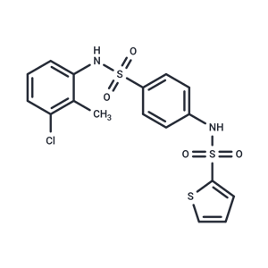 化合物 T16A(inh)-B01|T24845|TargetMol