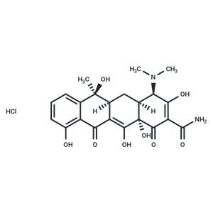 Epitetracycline (hydrochloride)|T37965|TargetMol