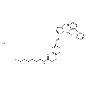 化合物 BDP 630/650 amine|T64134|TargetMol