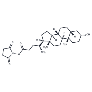 化合物 Lithocholyl-N-hydroxysuccinimide,Lithocholyl-N-hydroxysuccinimide