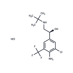 化合物 D-Mabuterol hydrochloride|T68242|TargetMol