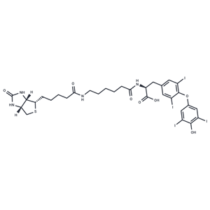 化合物 Biotin-hexanamide-(L-Thyroxine)|T82879|TargetMol