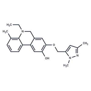 化合物 Wnt/β-catenin agonist 1|T13344|TargetMol