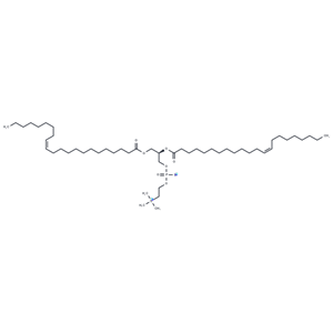 1,2-Dierucoyl-sn-glycero-3-PC|T37623|TargetMol