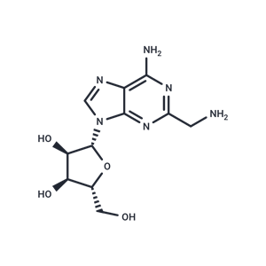 化合物 2-Aminomethyl ? adenosine|TNU0465|TargetMol