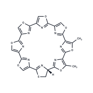 化合物 Telomestatin|T28942|TargetMol