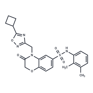 化合物 Beclin1-ATG14L interaction inhibitor 1|T79756|TargetMol