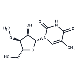 化合物 3’-O-Methyl-5-methyluridine|TNU1393|TargetMol