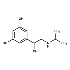 化合物 Metaproterenol|T16043|TargetMol