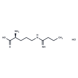 化合物 Ethyl-L-NIO (hydrochloride),Ethyl-L-NIO (hydrochloride)