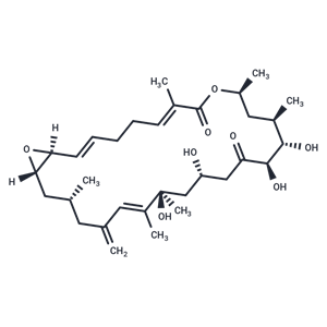 化合物 Amphidinolide D,Amphidinolide D