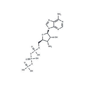 3'-Deoxy-3'-amino-ATP|T40522|TargetMol