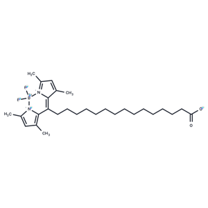 化合物 BODIPY-Palmitate|T85021|TargetMol