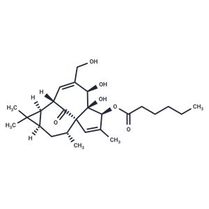 化合物 Ingenol 3-Hexanoate,Ingenol 3-Hexanoate