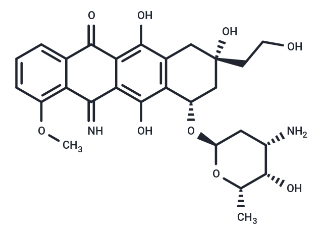 化合物 Camsirubicin,Camsirubicin