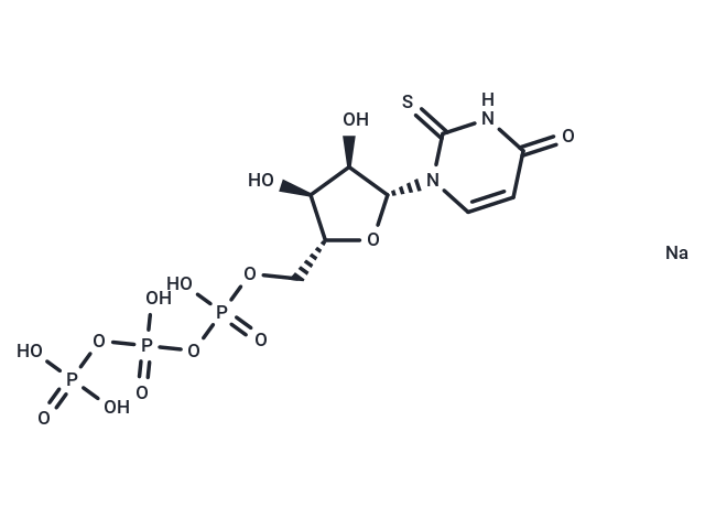 化合物 2-Thio-UTP tetrasodium,2-Thio-UTP tetrasodium